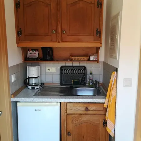 Claudia Güldenpfennig *