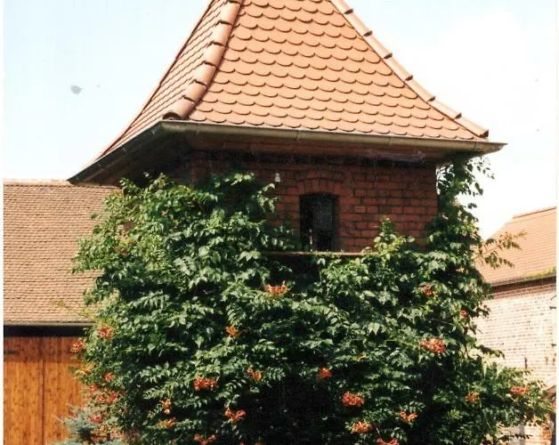 Claudia Gueldenpfennig